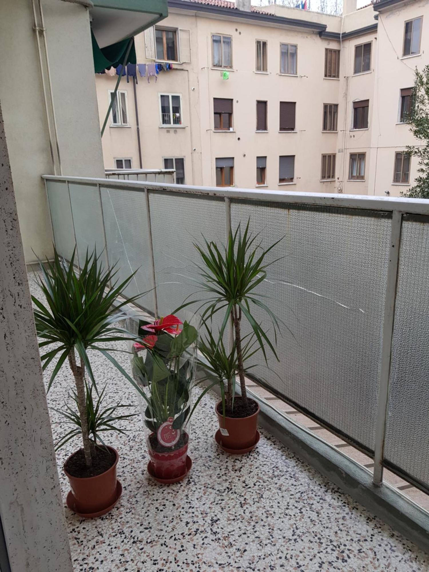 Venice Bnb Mestre Exteriör bild